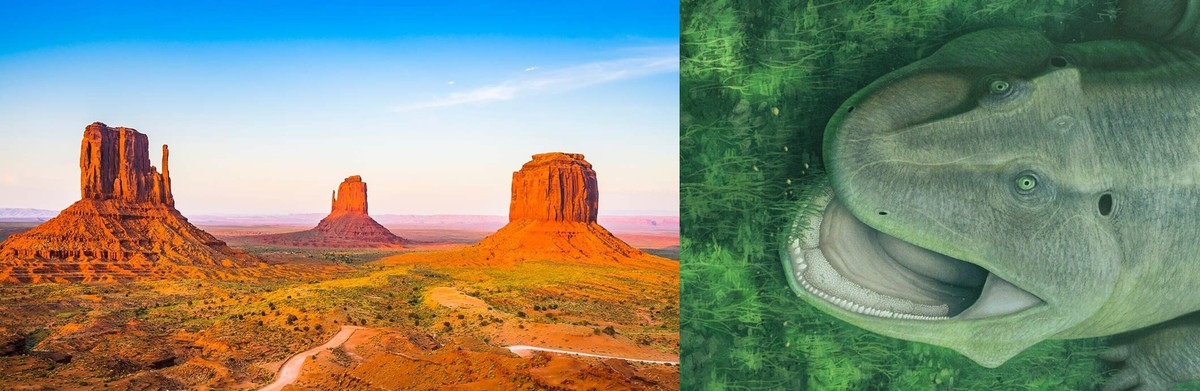 Các nhà nghiên cứu nghi ngờ Tanyka amnicola thích nghi với việc ăn các động vật không xương sống nhỏ hoặc có thể tiêu thụ cả một số loại thực vật. Khi loài này còn sinh sống, Brazil là một phần của siêu lục địa Gondwana. Ảnh: Checubus/ Shutterstock/Vitor Silva via SWNS.