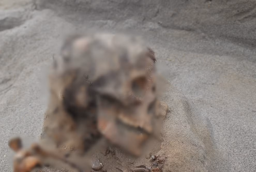 Thi hài của 140 đứa trẻ có những đặc điểm của nạn nhân hiến rế. Trong đó, khuôn mặt được bôi một lớp sắc tố đỏ làm từ khoáng chất. Ngực của chúng bị rạch, có lẽ là một phần của nghi lễ moi tim. Xương sườn và xương ức có dấu vết bị cắt. Ảnh: John Verano, Tulane University.