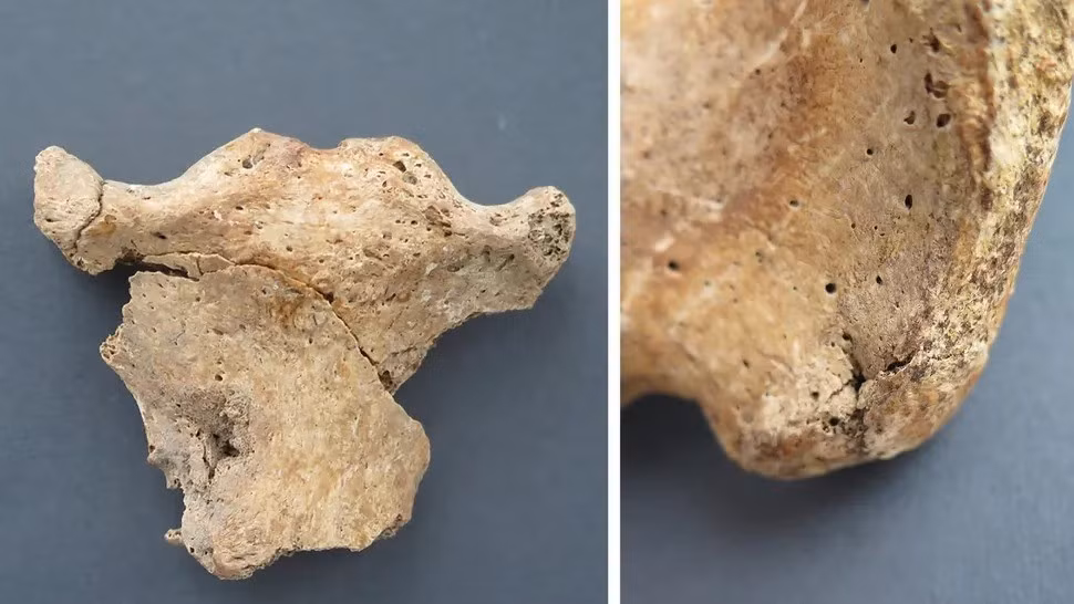 Các chuyên gia cho rằng, 7 thi hài trên thuộc về những binh lính La Mã đã chiến đấu trong Trận Mursa năm 260. Ảnh: Mario Novak et al., PLOS One; (CC BY 4.0).