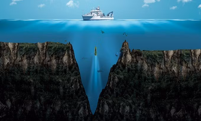 Ngoài ra, nhóm chuyên gia cũng ghi nhận sự hiện diện của các loài giáp xác có gai, giun biển trôi nổi tự do, hải sâm, huệ biển có tua lông và nhiều loài không xương sống khác ở độ sâu gần 10 km dưới mực nước biển trong rãnh Mariana. Ảnh: DOERS.