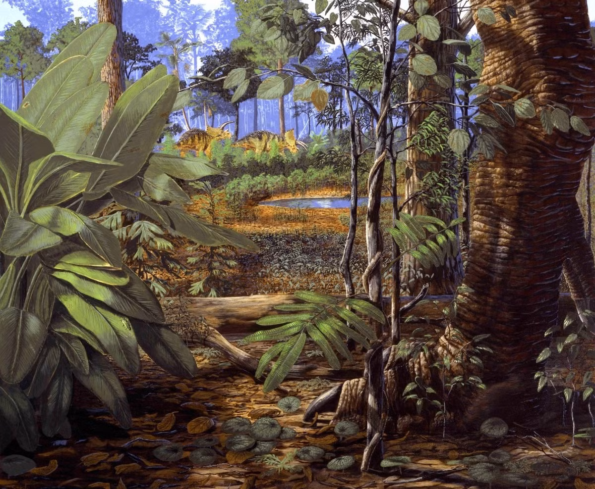 Với niên đại khoảng 67,5 triệu năm, đây là hóa thạch khủng long cổ nhất và nằm sâu nhất từng được phát hiện tại Denver. Vào khoảng 66 triệu năm trước, vụ va chạm tiểu hành tinh với Trái đất được cho là nguyên nhân dẫn đến sự tuyệt chủng của loài khủng long. Ảnh: Gary Stabb, Johnson and Raynolds.