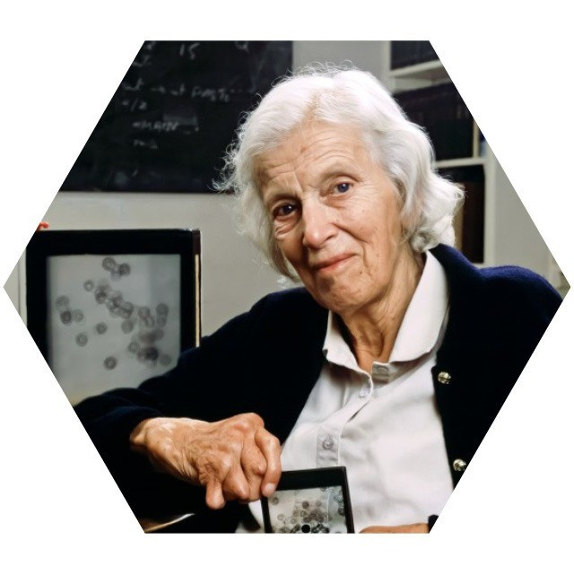 Dorothy Crowfoot Hodgkin (1910 - 1994) là nhà hóa học nữ người Anh giành giải Nobel Hóa học năm 1964. Ảnh: keele.ac.uk.