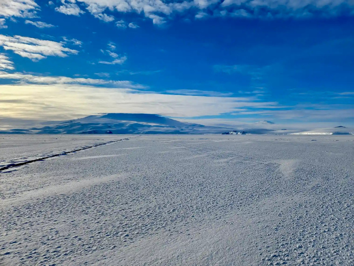 Khi khí thải NO2 kết hợp với môi trường giàu halogen của Bắc Cực và ánh sáng mặt trời vào mùa Xuân, một chuỗi phản ứng hóa học tiêu cực được kích hoạt. Ảnh: brr.fyi.