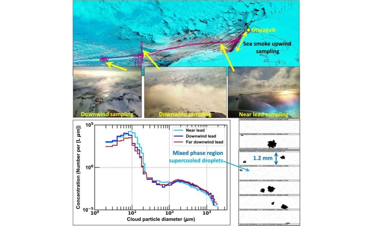 Nghiên cứu của các chuyên gia chỉ ra các "kẽ hở" băng biển - tức những vết nứt làm lộ nước biển ra không khí - đang kết hợp với khí thải công nghiệp để làm thay đổi tính chất hóa học của bầu khí quyển. Ảnh: Bulletin of the American Meteorological Society 106, 11.