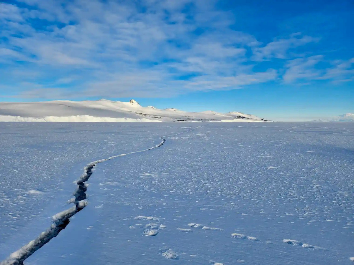 Quá trình này giải phóng các nguyên tử brom phản ứng, dẫn đến hiện tượng suy giảm tầng ozone ở tầng thấp. Các trạm quan trắc đã ghi nhận nhiều thời điểm nồng độ ozone tại Bắc Cực giảm xuống gần như bằng 0. Ảnh: brr.fyi.
