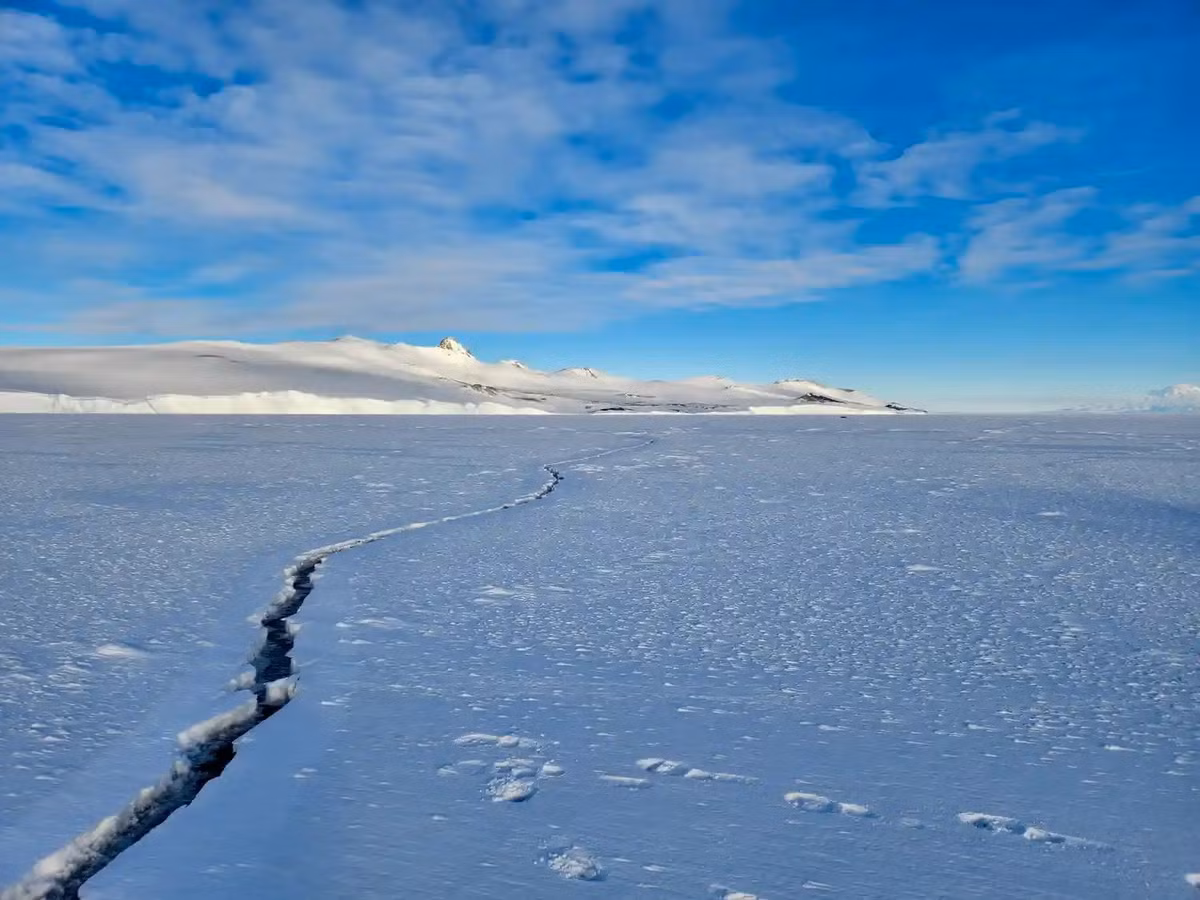 Quá trình này giải phóng các nguyên tử brom phản ứng, dẫn đến hiện tượng suy giảm tầng ozone ở tầng thấp. Các trạm quan trắc đã ghi nhận nhiều thời điểm nồng độ ozone tại Bắc Cực giảm xuống gần như bằng 0. Ảnh: brr.fyi.