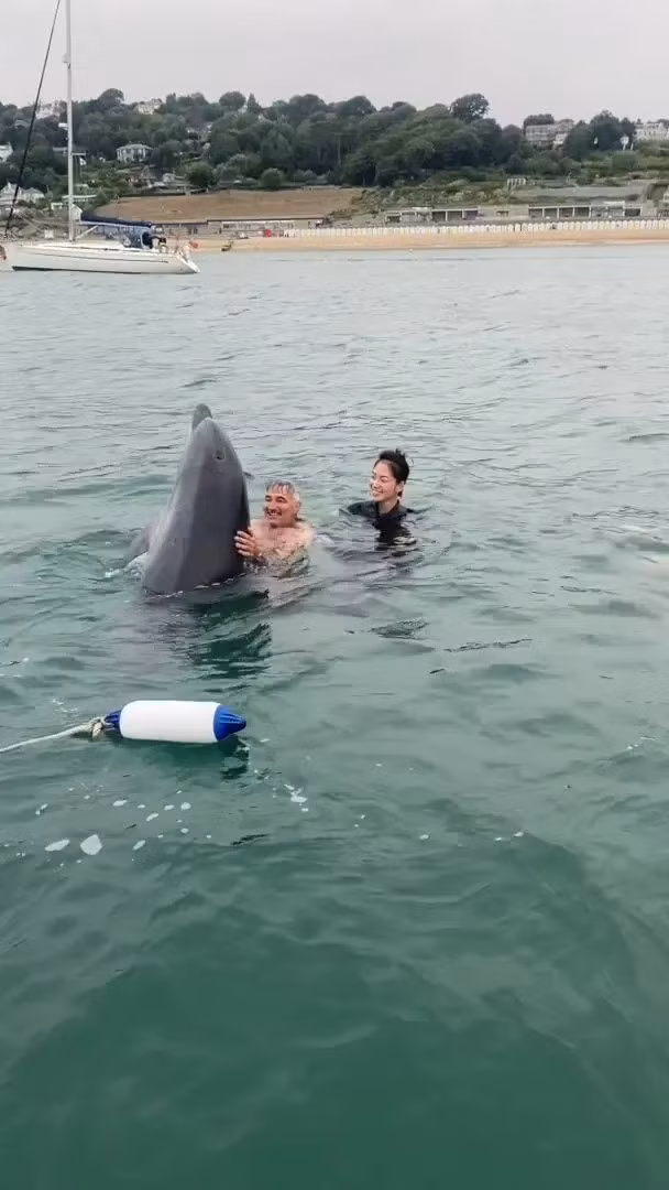 Giám đốc Taylor giải thích thêm việc chơi đùa và bắt chước chuyển động là một trong những cách chính mà cá heo dùng để gắn kết với những cá thể khác. Vì vậy, nếu là một con cá heo đơn độc không có đàn, nó có thể đang cố gắng tìm kiếm sự kết nối với các loài động vật khác. Ảnh: SWNS.