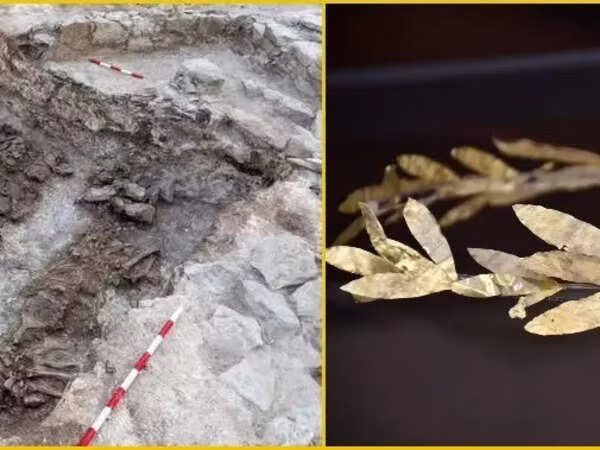 Con ngựa của "Chúa tể Sakar" cũng được tôn vinh với nhiều đồ tùy táng, bao gồm một vật trang trí bằng đồng mạ vàng trên yên cương mô tả người anh hùng huyền thoại Hercules đánh bại một người khổng lồ. Yên cương có nhiều hình ảnh động vật bằng đồng khác, có lẽ đại diện cho nhiều chiến công của Hercules và một chiếc mũ miện bằng vàng có hình một con rắn. Ảnh: Facebook &amp; BAS.