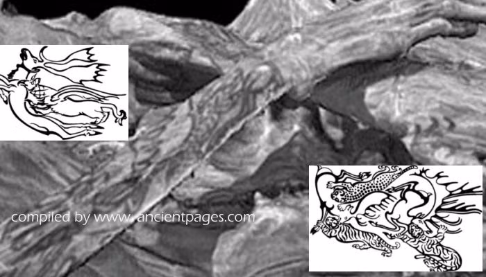 Theo nghiên cứu mới, những hình xăm của người phụ nữ được tạo ra bằng những đường nét có độ dày đồng đều. Một số đường nét được tạo ra bằng dụng cụ đa điểm, trong khi những đường nét khác được tạo ra bằng dụng cụ đơn điểm, tinh xảo hơn. Sự kết hợp của các đường xăm cho thấy thợ xăm đã thực hiện nhiều lần. Ảnh: ancientpages.