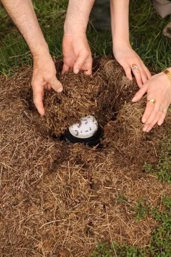 Nhóm nghiên cứu cho biết quá trình chế biến món ăn ngon từ kiến này khác biệt đáng kể so với cách sản xuất thực phẩm từ phương pháp lên men công nghiệp hiện nay. Ảnh: David Zilber.