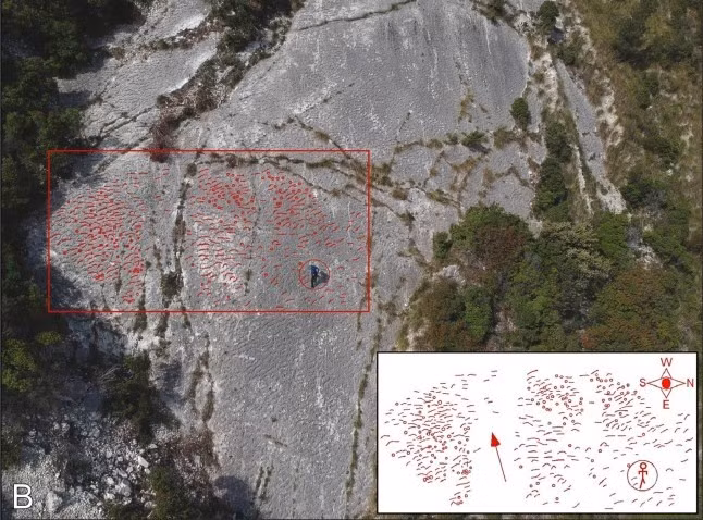 Các mẫu đá được thu thập ngay phía trên dấu chân và được nhóm nghiên cứu phân tích đã hé lộ những manh mối quan trọng về vị trí của các dấu chân và câu chuyện đằng sau chúng. Ảnh: Sciencedirect.com.