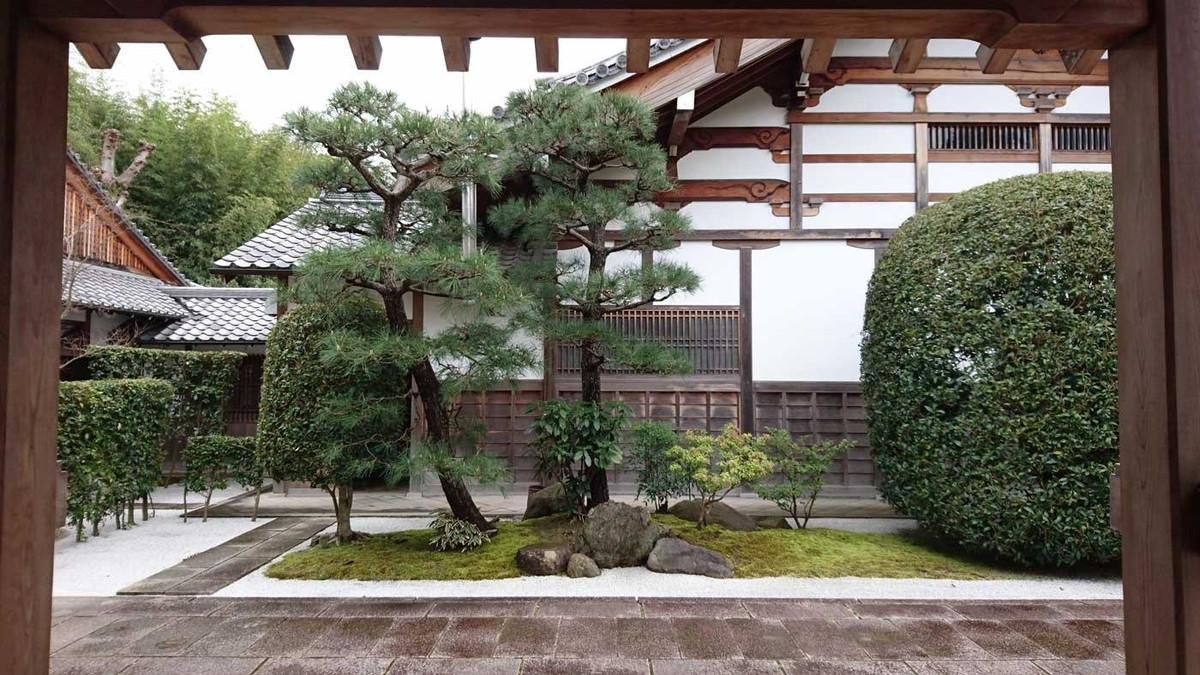 4. Vì sao không trồng thông trong sân mà lại chọn sau nhà?. Trồng cây thông phía sau như đặt một "ngọn núi xanh" làm điểm tựa. Người xưa tin rằng cây sẽ mang phúc khí, giúp người già sống thọ, gia đạo yên ổn.