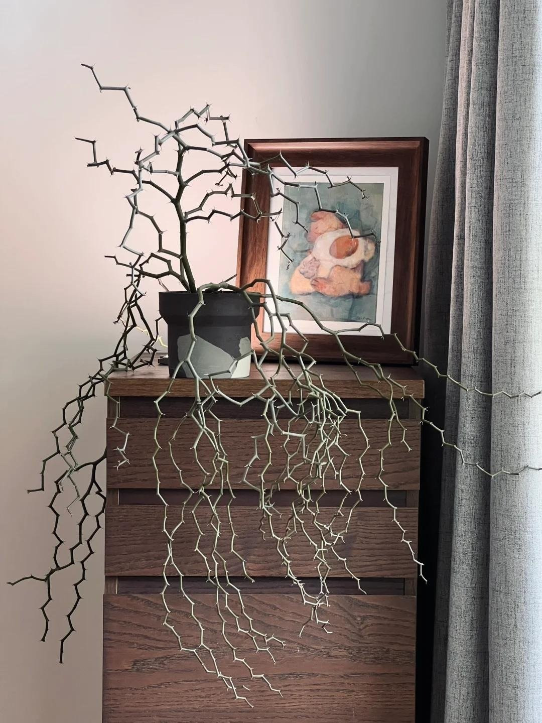 "Gấu trúc dễ thương" giờ nhường chỗ cho "cá sấu đẹp trai": Xu hướng thưởng thức cái đẹp đã thay đổi: xấu lạ, gai góc, dị biệt lại được xem là… sang, độc và đắt đỏ.