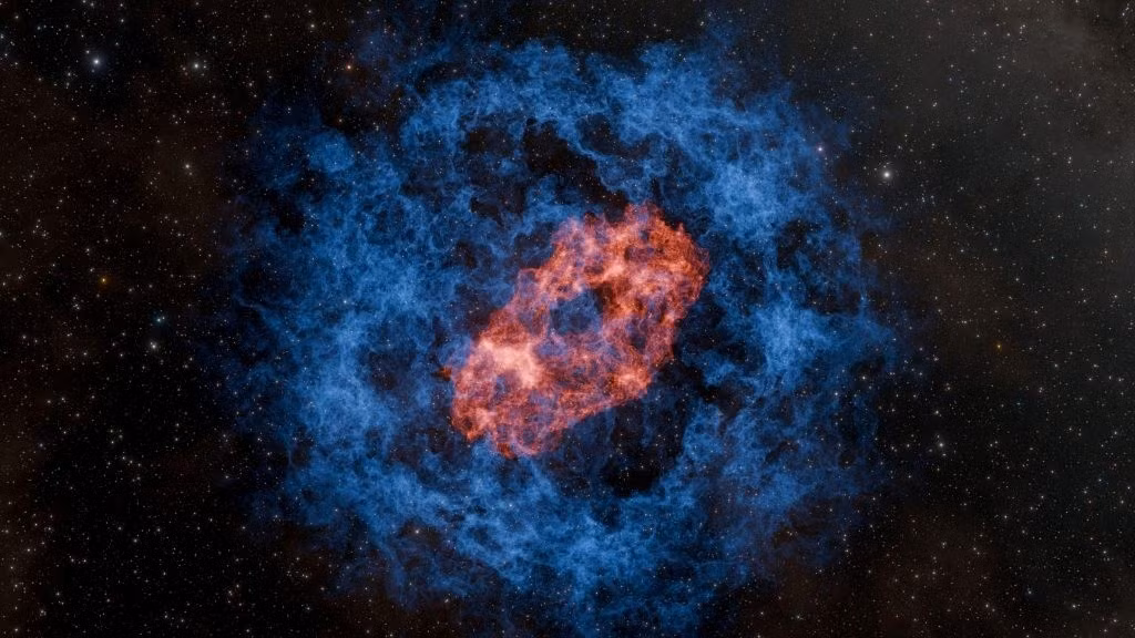 Thêm nữa, các chuyên gia ghi nhận sự xuất hiện của cái gọi là "ngôi sao bị cấm". Dữ liệu sóng hấp dẫn cho thấy một trong 2 vật thể va chạm có khối lượng thấp hơn cả Mặt trời. Theo lý thuyết thông thường, sao neutron phải nặng hơn thế, nặng khoảng 1,2 - 3 lần so với khối lượng Mặt trời. Ảnh: Caltech/K. Miller and R. Hurt/IPAC.