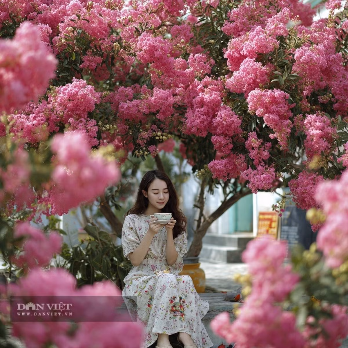 Người sinh ngày 15 tháng 1 Âm lịch trân trọng tình cảm gia đình, quý trọng tình bạn, tìm thấy hạnh phúc từ việc tử tế với người khác