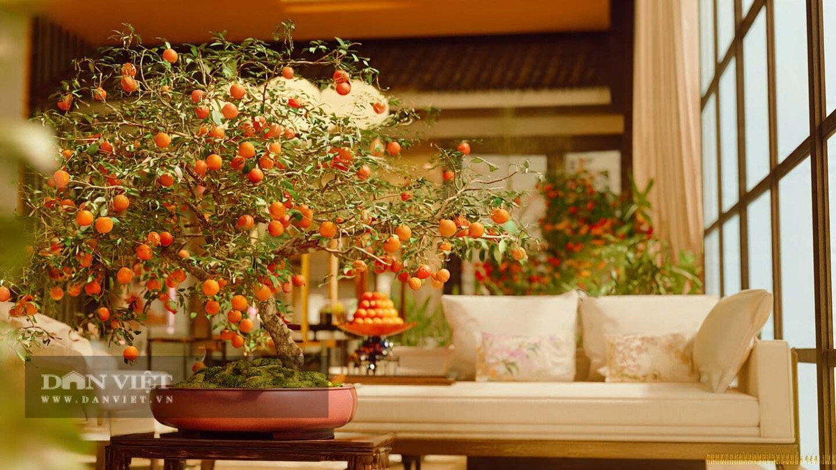 Hồng đá là cây cảnh bonsai có giá trị làm cảnh cao và có ý nghĩa phong thủy tốt lành