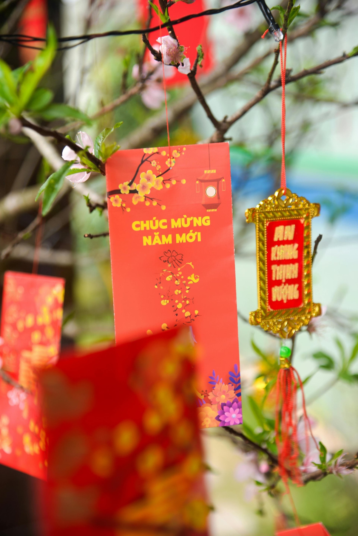 Dọn nhà đón Tết Bính Ngọ 2026: Không vứt bỏ đồ vật còn sử dụng được