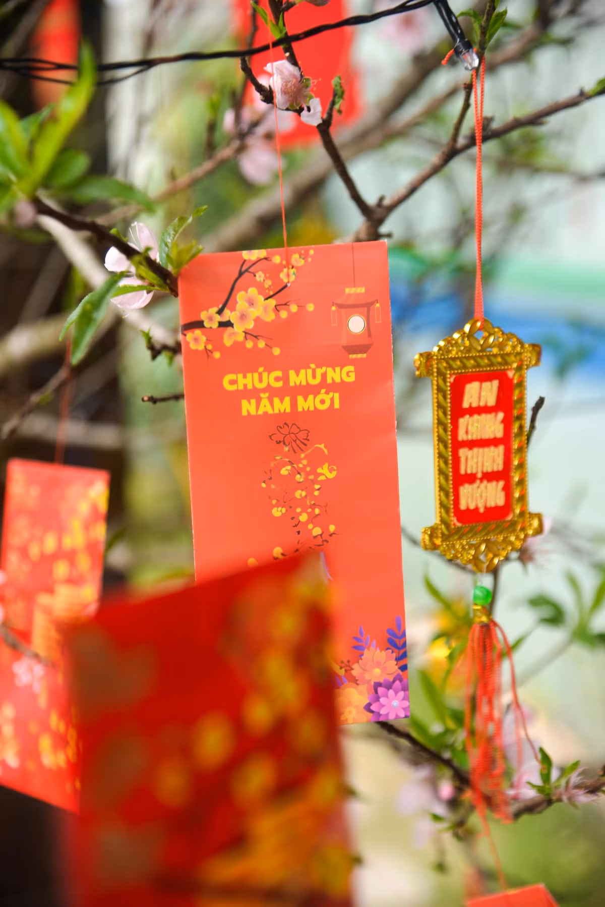 Dọn nhà đón Tết Bính Ngọ 2026: Không vứt bỏ đồ vật còn sử dụng được