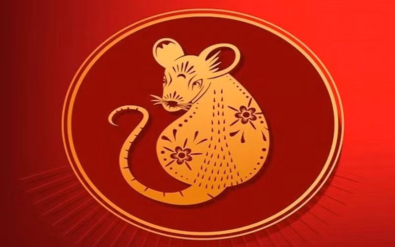Tuổi Tý. Trong 7 ngày tới, người tuổi Tý có thể được cấp trên tin tưởng, giao cho phụ trách dự án quan trọng. Theo đó, nếu con giáp này nắm chắc cơ hội, thể hiện được tài hoa và bản lĩnh thì cơ hội thăng chức hoàn toàn nằm trong tầm với.