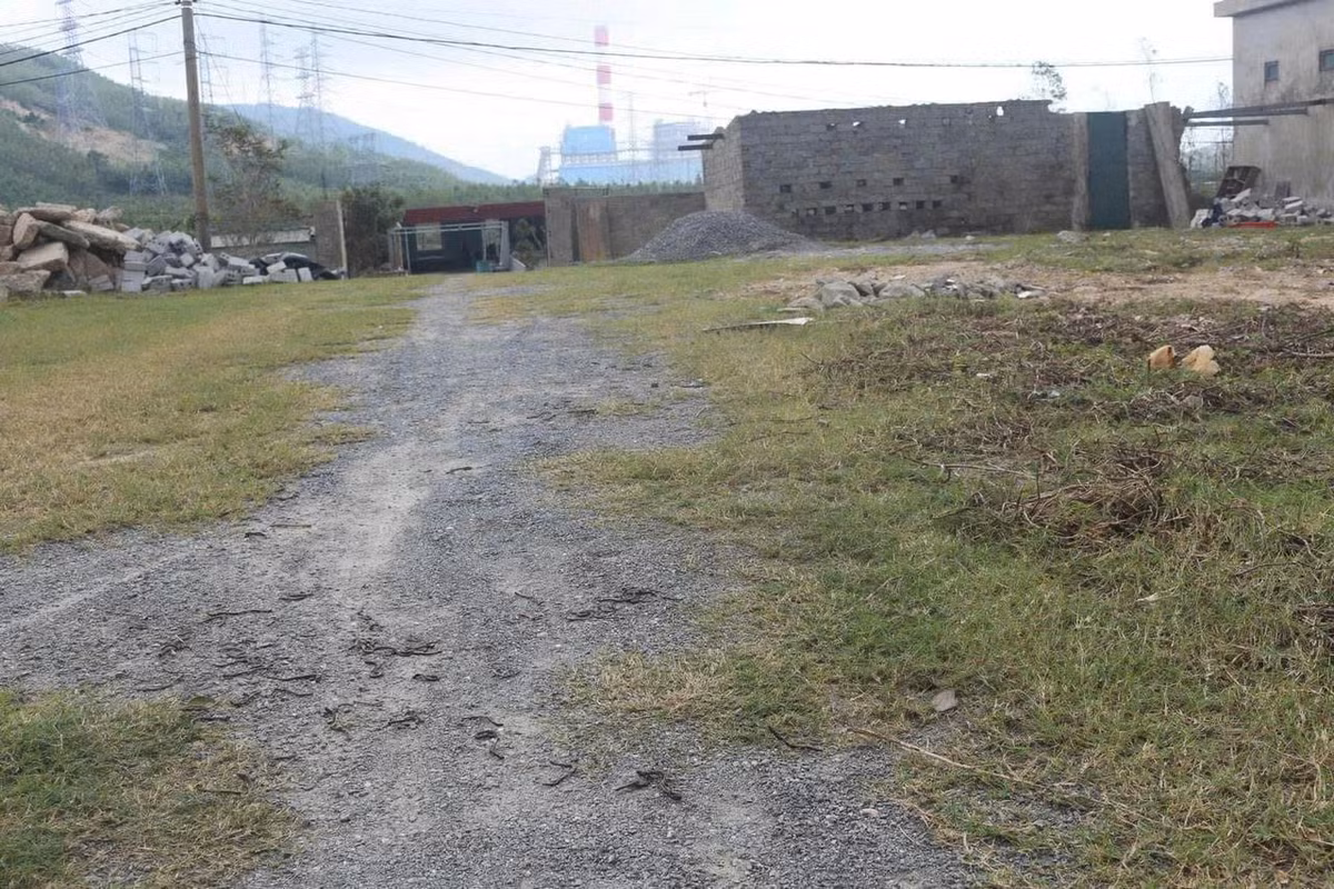 Ông Trần Đình Chiến - Trưởng thôn Vịnh Sơn cho hay đây là lần đầu tiên xảy ra hiện tượng hàng loạt giun đất trồi lên rồi chết khô ở địa phương. Do đó, nhiều người không khỏi bất ngờ khi chứng kiến hiện tượng này. Ảnh: CTV/Vietnamnet.