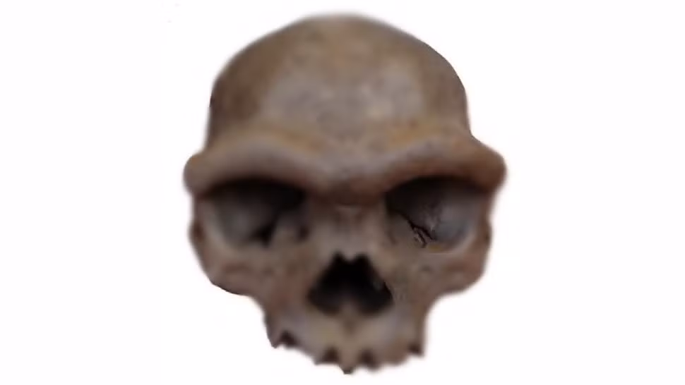 Theo kết quả nghiên cứu mới công bố, người Jomon sống ở Nhật Bản thời tiền sử "có rất ít hoặc không có" ADN của người Denisova. Điều này cho thấy tổ tiên của họ có thể không tiếp xúc với người Denisova đã tuyệt chủng từ lâu. Ảnh: Fu et al, Cell (2025) CC-by-4.0.