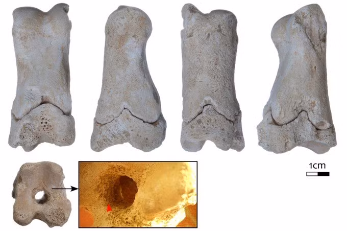 Địa điểm tìm thấy chiếc còi từ xương ngón chân bò được gọi là Làng Đá - gần một địa điểm khác gọi là Làng Công Nhân. Theo hai nhà khảo cổ học Anna Stevens và Barry Kemp của Đại học Cambridge, cả hai ngôi làng này có khả năng đều là nơi sinh sống của những người thợ tham gia xây dựng lăng mộ hoàng gia. Ảnh: Ancient Hypotheses/X.