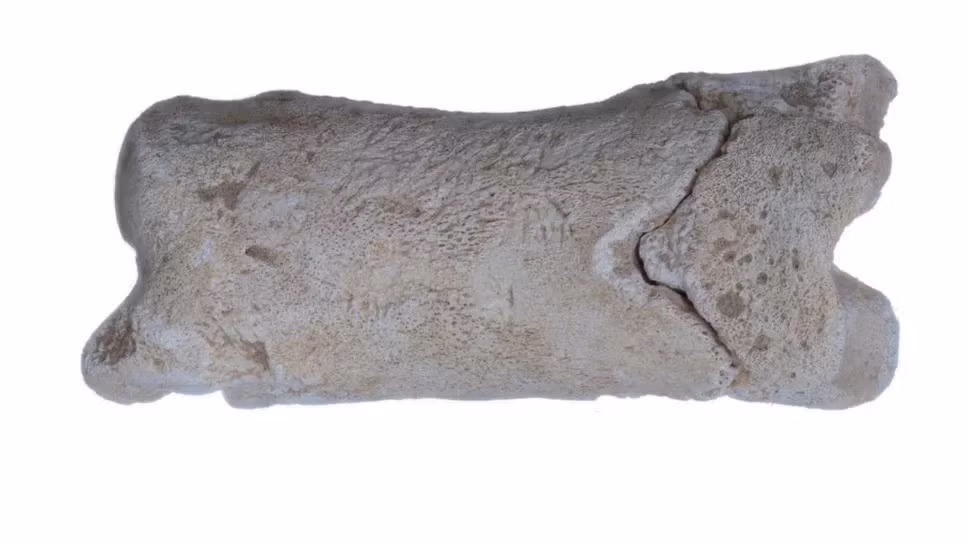 Kinh đô Akhetaten do pharaoh Akhetaten thành lập vào năm 1347 trước Công nguyên chỉ tồn tại trong khoảng 15 năm và bị bỏ hoang sau khi ông hoàng này băng hà. Ảnh: Michelle Langley.