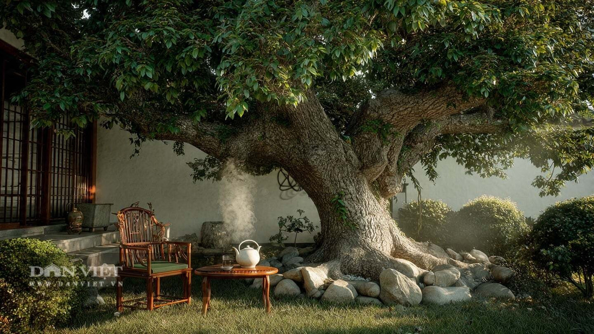 Hoa và quả cây du nhỏ, tròn, được ví như những đồng xu. Hơn nữa, chữ “du” đồng âm với “dư” (dư thừa), nên cây được xem là biểu tượng của tiền bạc, của cải dồi dào, cuộc sống no đủ và có của để dành.