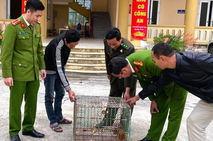 Ông Hoàng Chí Công (SN 1984; ngụ thôn Nam Sơn, xã Yên Thọ) cũng tự nguyện giao nộp 2 cá thể cu li nhỏ. Chúng được ông phát hiện đi lạc vào vườn nhà. Ảnh: Người lao động.