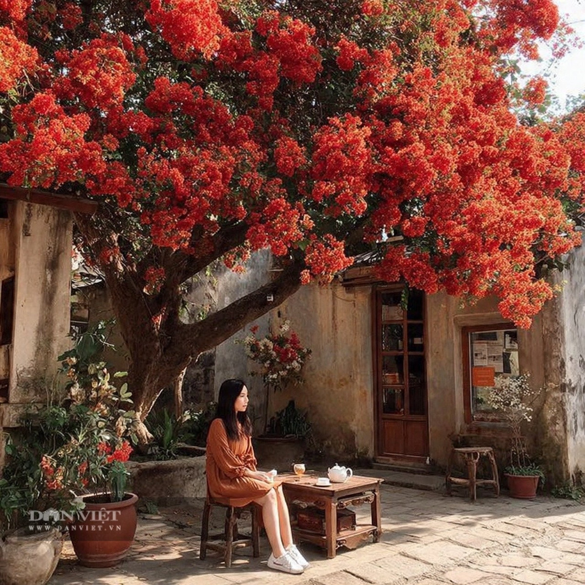 Người sinh ngày 23 tháng 12 Âm lịch không thích sự mưu mô hay lừa dối.