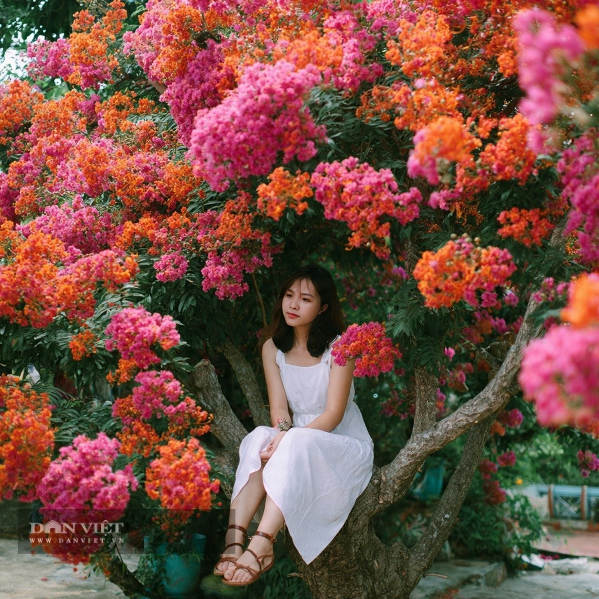 Người sinh ngày 2 tháng 2 Âm lịch có mục tiêu rõ ràng, ý chí mạnh mẽ, không ngại khó khăn