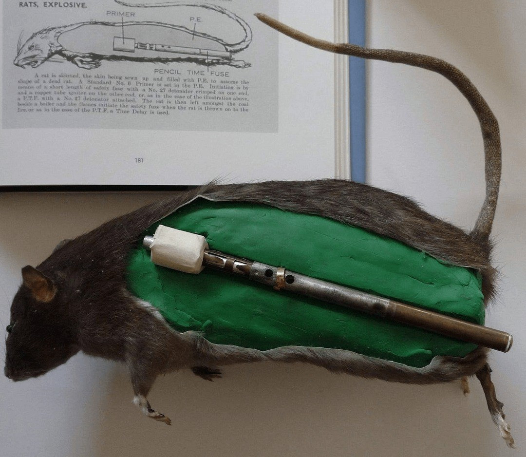 Khi ấy, nhà máy sản xuất vũ khí của phát xít Đức sẽ bị hư hại, thậm chí bị phá hủy. Điều này sẽ cản bước tiến của quân Đức trên các mặt trận khi chiến đấu với lực lượng Đồng minh. Ảnh: r/ForgottenWeapons/reddit.