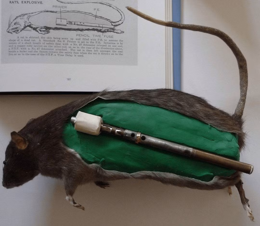 Khi ấy, nhà máy sản xuất vũ khí của phát xít Đức sẽ bị hư hại, thậm chí bị phá hủy. Điều này sẽ cản bước tiến của quân Đức trên các mặt trận khi chiến đấu với lực lượng Đồng minh. Ảnh: r/ForgottenWeapons/reddit.