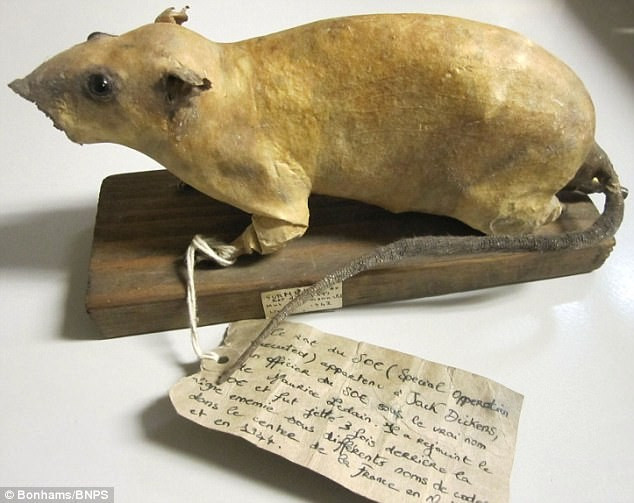 Theo kế hoạch, các đặc vụ của SOE và lực lượng kháng chiến địa phương sẽ thâm nhập vào các nhà máy sản xuất vũ khí của Đức quốc xã và bỏ xác chuột chứa đầy chất nổ bên trong bụng vào khu vực xung quanh phòng nồi hơi hoặc khu vực để than. Ảnh: Bonhams/BNPS.