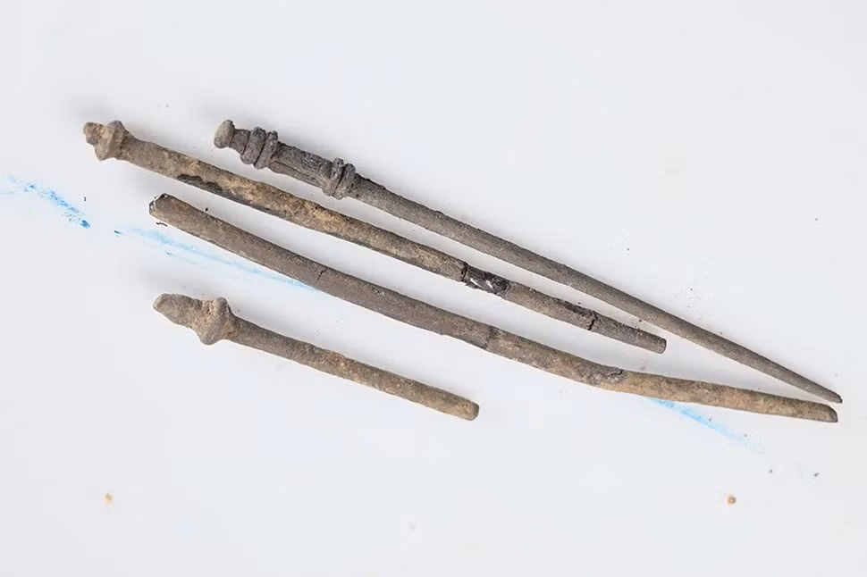 Sau khi nhận được trình báo về việc tìm thấy kho báu, chính quyền và các chuyên gia đã đến địa điểm mà người đàn ông đào được kho báu để kiểm tra xem liệu ông có bỏ sót hiện vật nào không cũng như tìm hiểu về những bí ẩn liên quan đến số của cải giá trị này, bao gồm nguồn gốc của chúng. Ảnh: Bartels, PI Hildesheim, ZKD/FK Forensics.