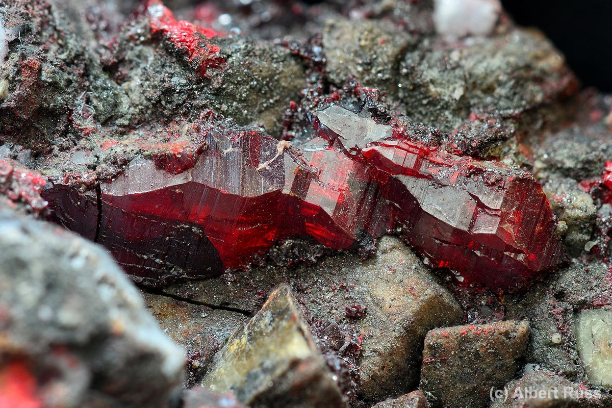 Theo nghiên cứu, một trong hai người phụ nữ khoảng 35 - 45 tuổi khi qua đời. Trong khi đó, hài cốt của người phụ nữ trẻ hơn, khoảng 18 - 20 tuổi, được chôn cất trong cùng ngôi mộ với người lớn tuổi hơn vào thời điểm sau đó. Hai người phụ nữ được chôn cất cùng với một số đồ tùy táng, bao gồm hạt cườm, đồ gốm và đồ kim loại. Ảnh: Albert Russ; collection: Galerie PATRIOT Tišnov.