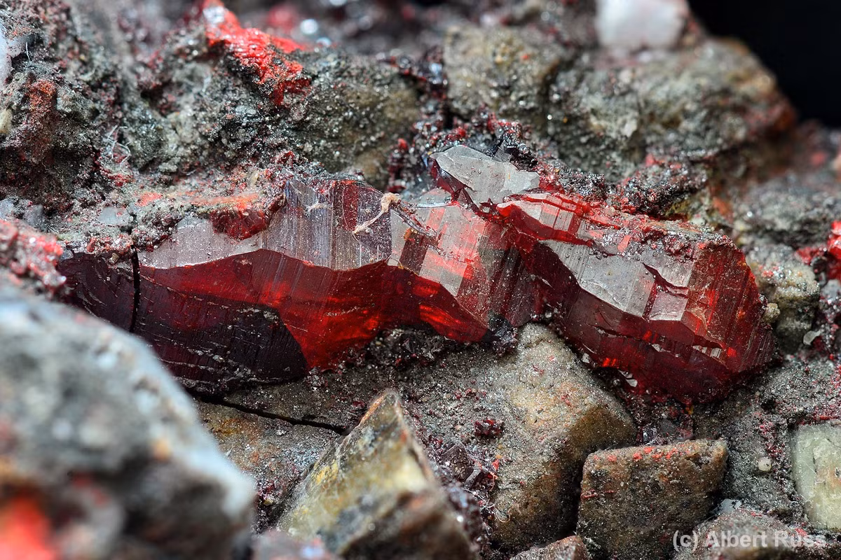 Theo nghiên cứu, một trong hai người phụ nữ khoảng 35 - 45 tuổi khi qua đời. Trong khi đó, hài cốt của người phụ nữ trẻ hơn, khoảng 18 - 20 tuổi, được chôn cất trong cùng ngôi mộ với người lớn tuổi hơn vào thời điểm sau đó. Hai người phụ nữ được chôn cất cùng với một số đồ tùy táng, bao gồm hạt cườm, đồ gốm và đồ kim loại. Ảnh: Albert Russ; collection: Galerie PATRIOT Tišnov.