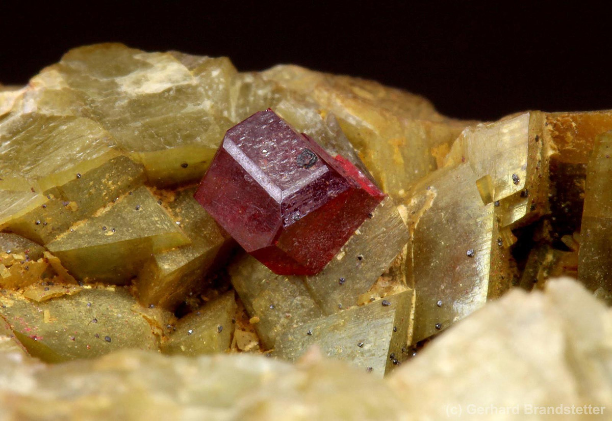 "Chúng tôi biết rằng, một ngôi mộ có thể hoạt động liên tục trong tối đa 50 năm", tác giả chính của nghiên cứu, nhà khảo cổ học Olena Dzneladze tại Viện Hàn lâm Khoa học Quốc gia Ukraine cho biết. Ảnh: Gerhard Brandstetter.