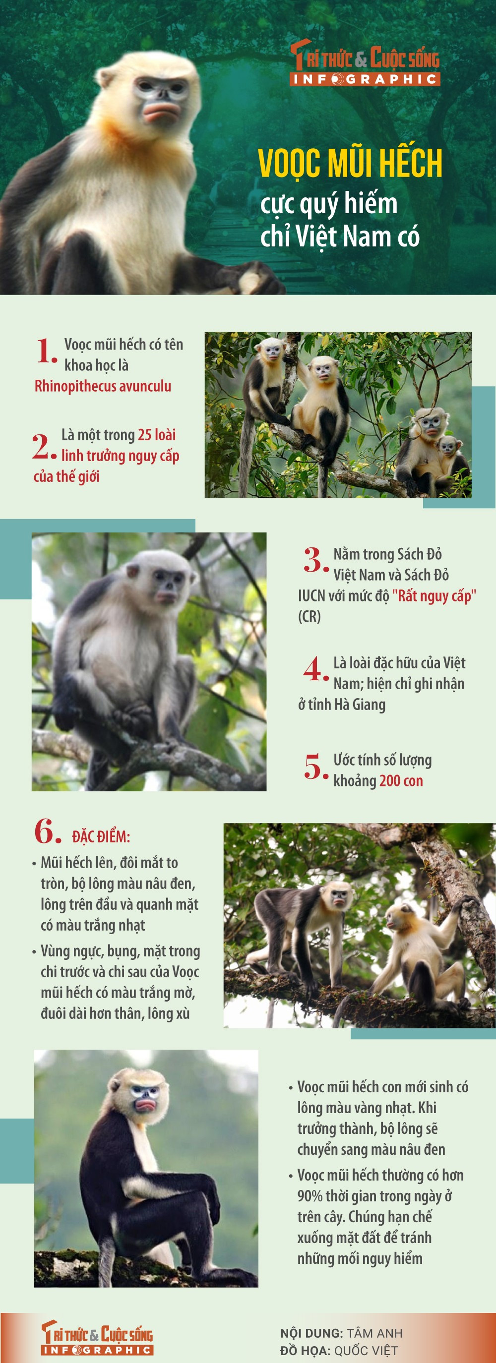 dong-vat-quy-hiem.jpg