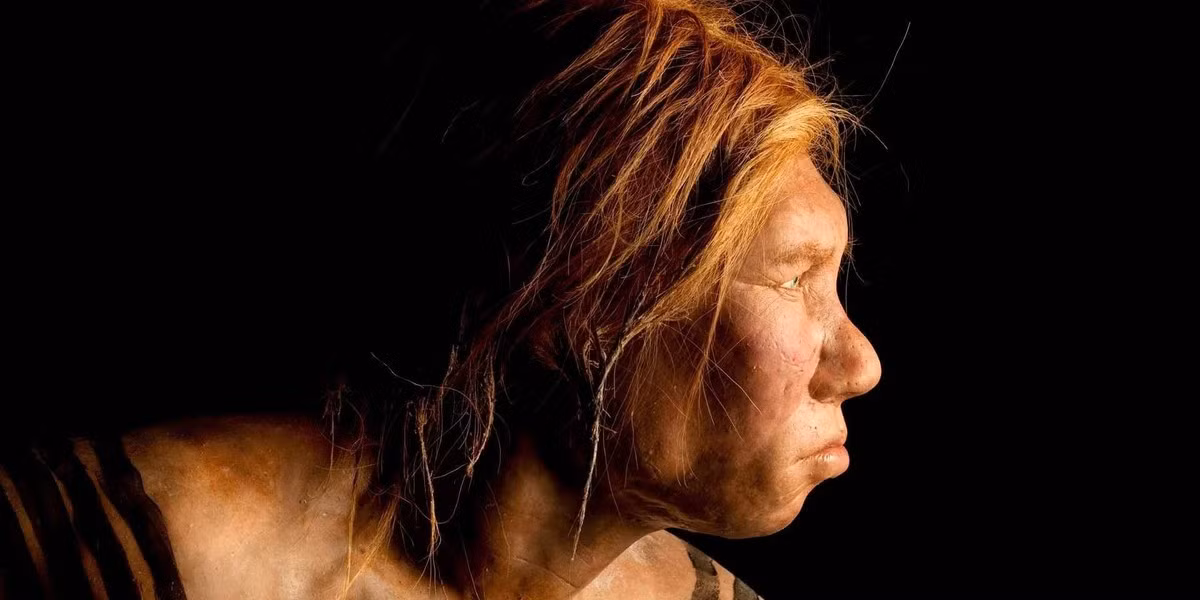 Tiến sĩ Katarzyna Pyżewicz từ Đại học Warsaw cho hay những phát hiện về người Neanderthal rất hiếm và bất cứ thứ gì tìm thấy ở khu vực này đều mang giá trị khoa học to lớn. Những di chỉ khảo cổ này thường nằm sâu vài mét dưới bề mặt, khiến việc phát hiện trở nên cực kỳ khó khăn. Ảnh: Joe McNally/Getty Images.