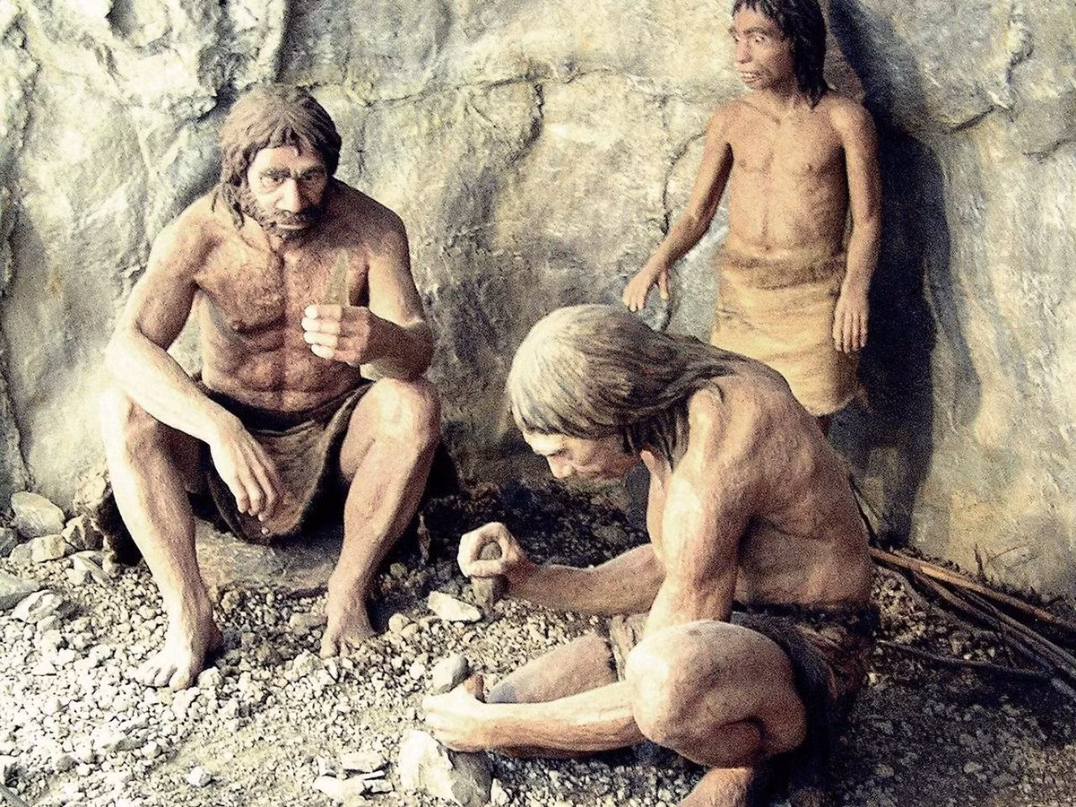 Hầu hết các di chỉ Neanderthal ở Ba Lan đều tập trung trong các hệ thống hang động phía nam thuộc vùng Cao nguyên Kraków-Częstochowa và vùng Hạ Silesia. Ảnh: Jaroslav A. Polák.