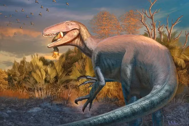 Tiếp đến, vào tháng 9/2025, các nhà khoa học vui mừng thông báo về việc xác định được một loài khủng long mới nhờ hóa thạch được tìm thấy từ năm 2019. Đó là loài Joaquinraptor casali. Ảnh: Andrew McAfee, Carnegie Museum of Natural History.