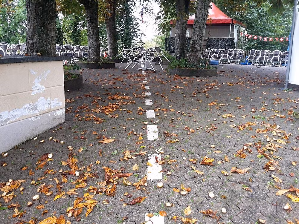 Người dân ở Büsingen am Hochrhein nói tiếng Thụy Sĩ và thích dùng franc Thụy Sĩ thay vì euro. Thực tế, cho đến cuối thập niên 1980, thành phố này thậm chí còn không chấp nhận đồng mark Đức. Ảnh: Triefeline/Wikimedia Commons.