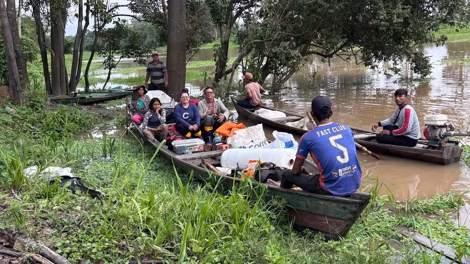 Địa điểm tìm thấy 7 bình đựng tro cốt khổng lồ là một hòn đảo do con người tạo ra. Chúng nằm cách mặt đất khoảng 40 cm. Giới nghiên cứu hiện chưa biết liệu nền văn hóa tạo ra hòn đảo có phải là người chôn những chiếc bình đựng tro cốt trên hay không. Ảnh: Rosiele Kokama.