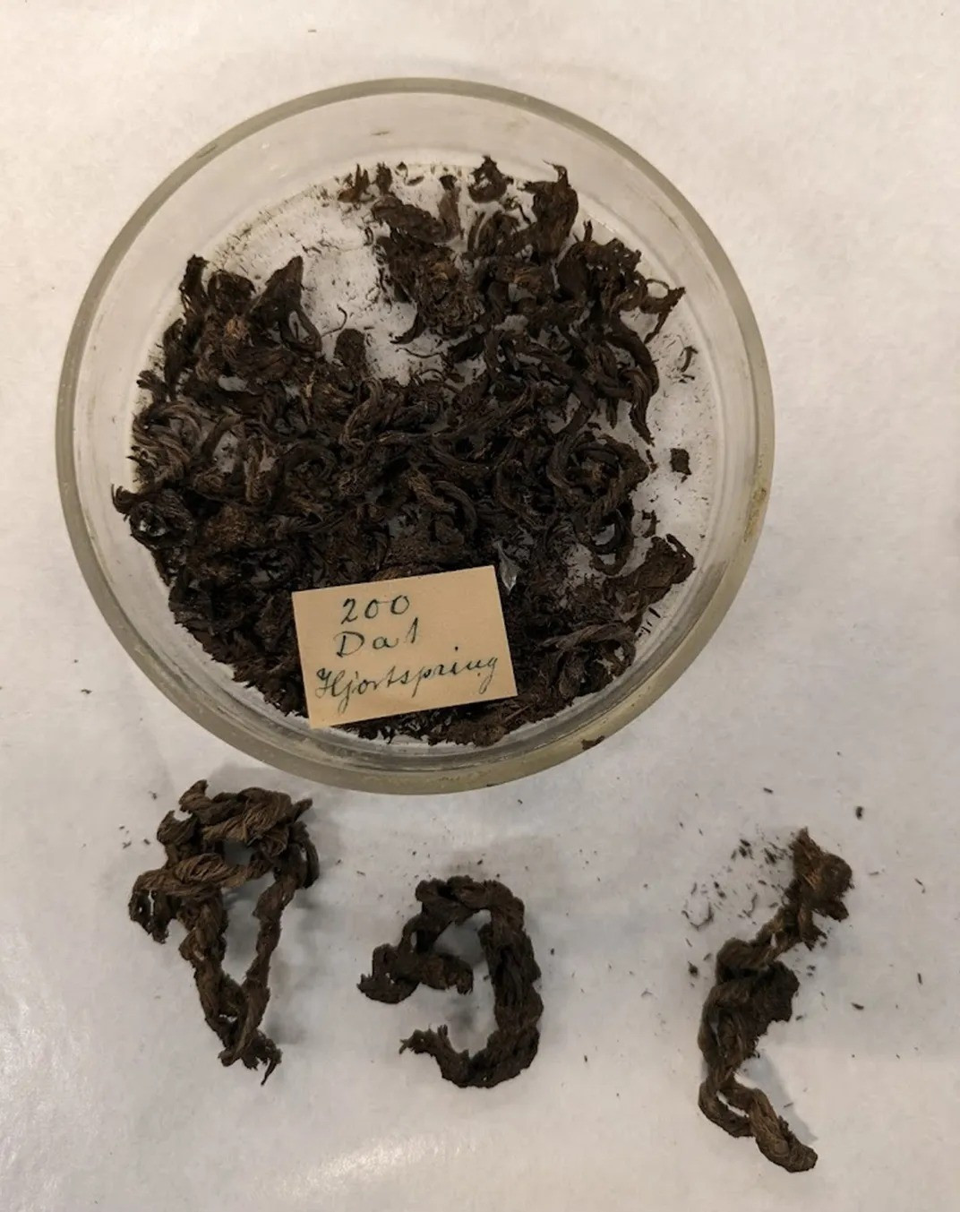 Nhiều thế kỷ sau, "thuyền ma" Hjortspring đã được các nhà khảo cổ đem lên mặt nước và lưu giữ tại Bảo tàng Quốc gia Đan Mạch từ năm 1937. Nghiên cứu mới đây xác định con thuyền khoảng 2.400 tuổi. Ảnh: Mikael Fauvelle.