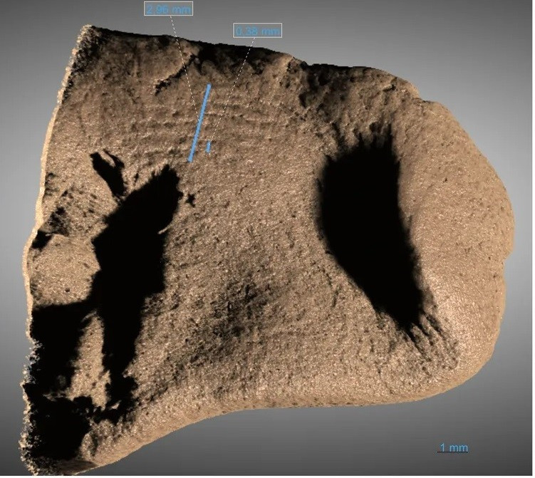 Sử dụng phương pháp sắc ký khí khối phổ, nhóm nghiên cứu xác định được vật liệu xảm thuyền có khả năng được tạo thành từ mỡ động vật và nhựa thông, thứ khó tìm thấy ở Đan Mạch thời kỳ đó. Phát hiện này cho thấy con thuyền có khả năng đã có một hành trình dài trên đại dương để đến đảo Als. Ảnh: Johansson / Sahel Ganji.