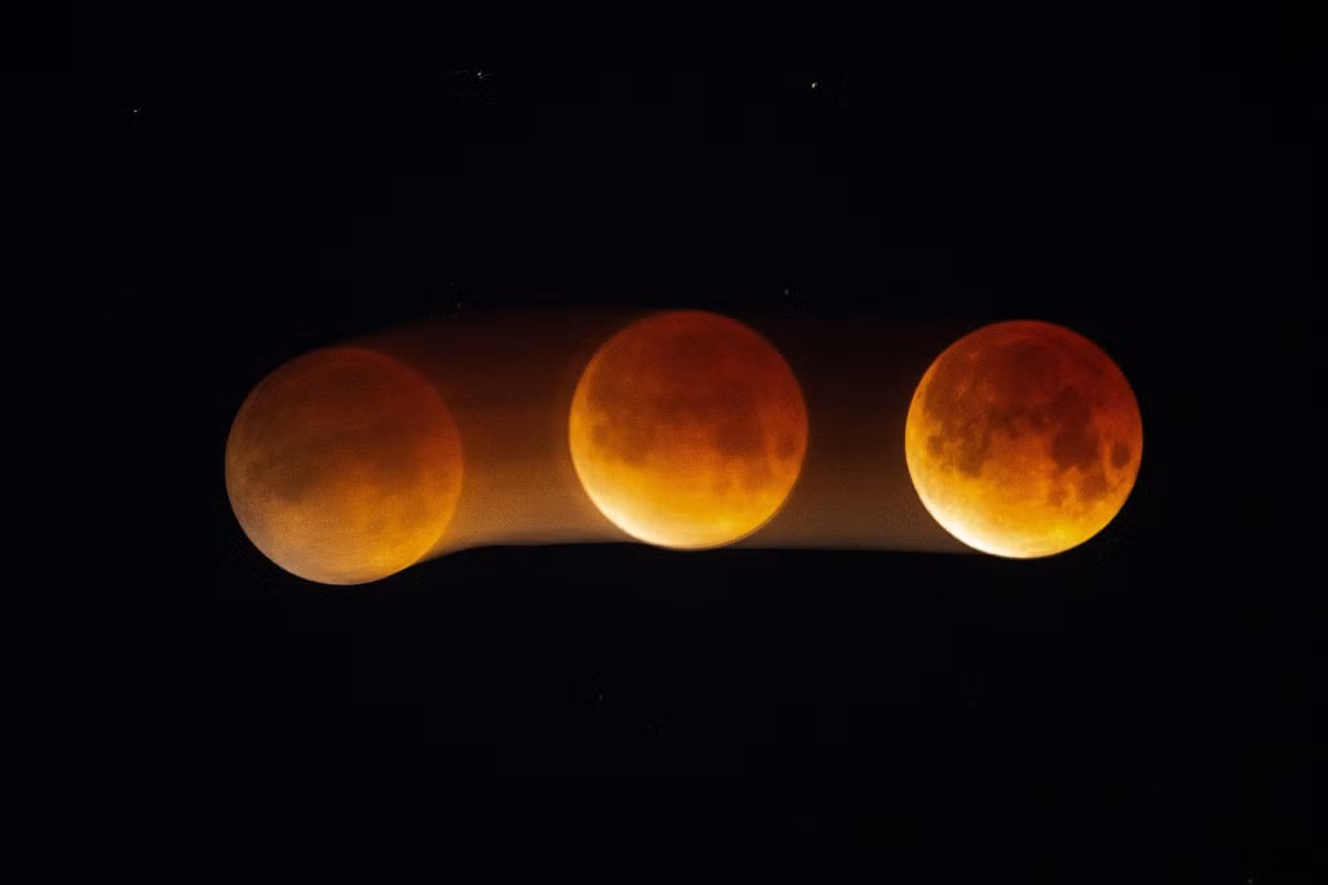 Bầu trời đêm Los Angeles, Mỹ nổi bật khi "Trăng máu" xuất hiện. Ảnh: Ringo Chiu/Sopa Images/Shutterstock.