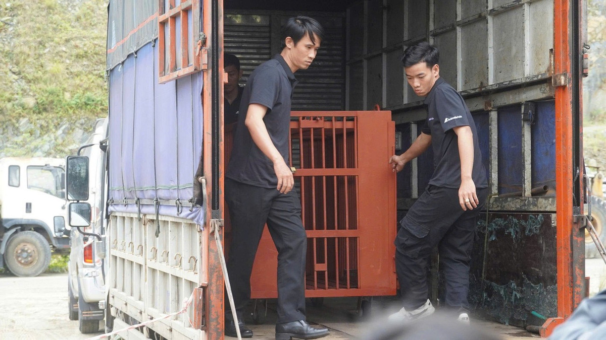 Vào ngày 2/2, Vườn Quốc gia Bạch Mã (TP. Huế), Chi cục Kiểm lâm TP. Đà Nẵng và Tổ chức Động vật châu Á phối hợp tổ chức cứu hộ thành công một cá thể gấu ngựa từ một doanh nghiệp trên địa bàn Đà Nẵng, đưa về chăm sóc, cứu hộ tại Trung tâm Cứu hộ Gấu Việt Nam (cơ sở 2) thuộc Vườn Quốc gia Bạch Mã. Ảnh: Tiền phong.