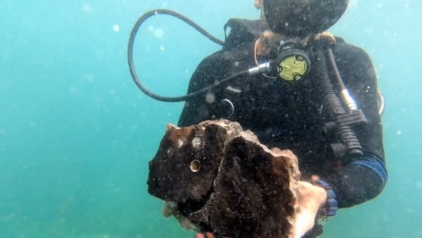 Danh tính của những xác tàu đắm này hiện được cho là Fridericus Quartus và Christianus Quintus. Hai con tàu đã biến mất ngoài khơi bờ biển Trung Mỹ vào năm 1710 và cho đến nay vẫn chưa được tìm thấy. Ảnh: Nationalmuseet/Facebook.