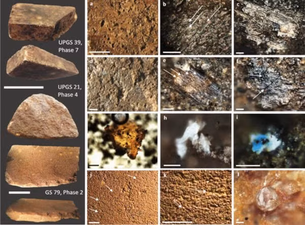 Phát hiện của nhóm chuyên gia làm nổi bật kết luận từ các nghiên cứu di truyền gần đây cho rằng người Homo sapiens và người Neanderthal chỉ giao phối với nhau trong một giai đoạn khoảng vài nghìn năm, từ 43.500 đến 51.500 năm trước. Ảnh: Nature Scientific Reports.